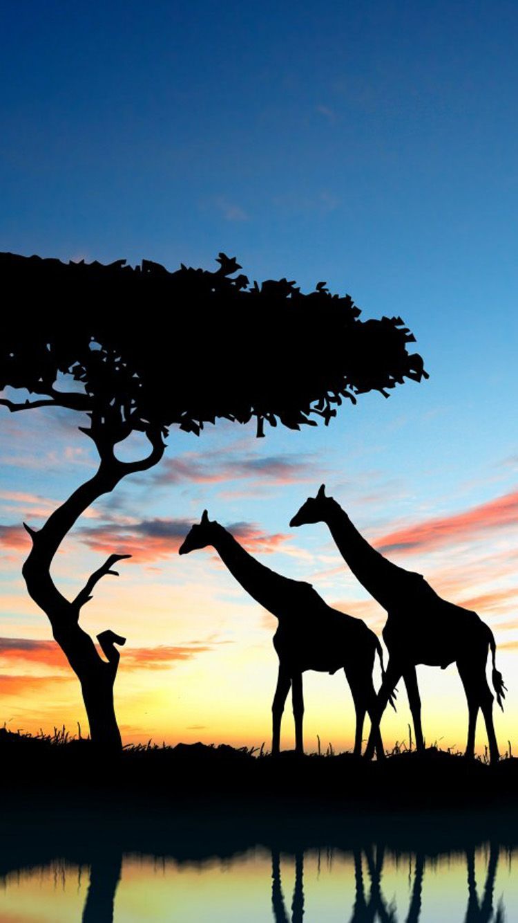 Featured image of post Africa Wallpaper Iphone Safari