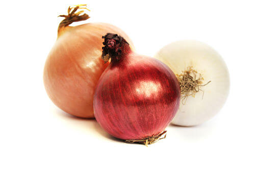 Featured image of post Can Babies Have Onions