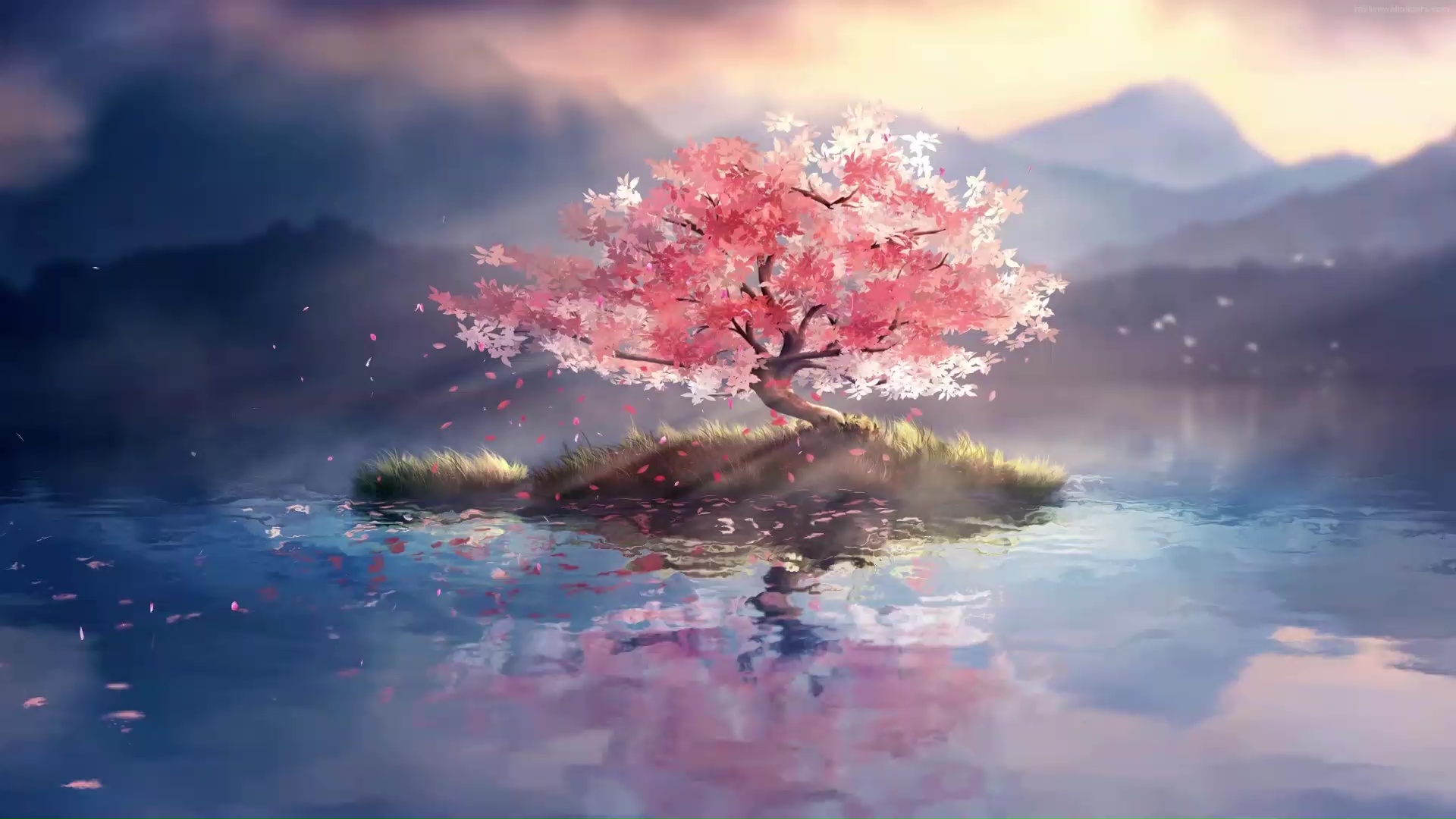 Featured image of post Cherry Blossom Tree Wallpaper Gif