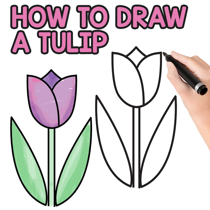 Featured image of post How To Draw A Tulip Easy Step By Step