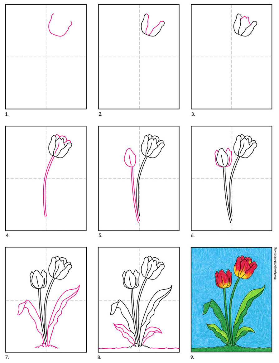 Featured image of post How To Draw A Tulip Step By Step