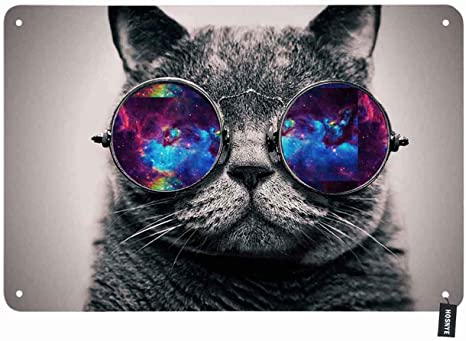 Featured image of post Space Cat With Galaxy Glasses